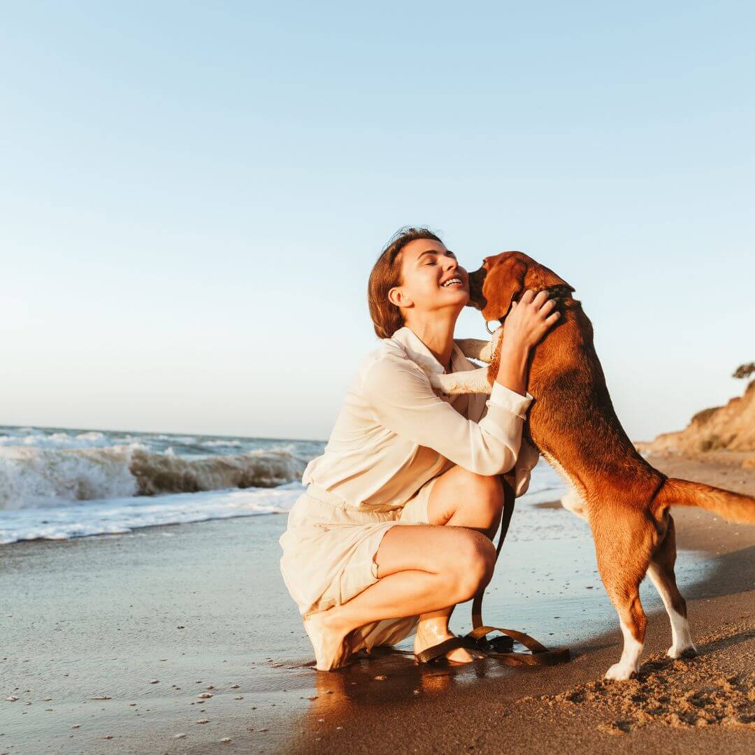 pet exercise and well being