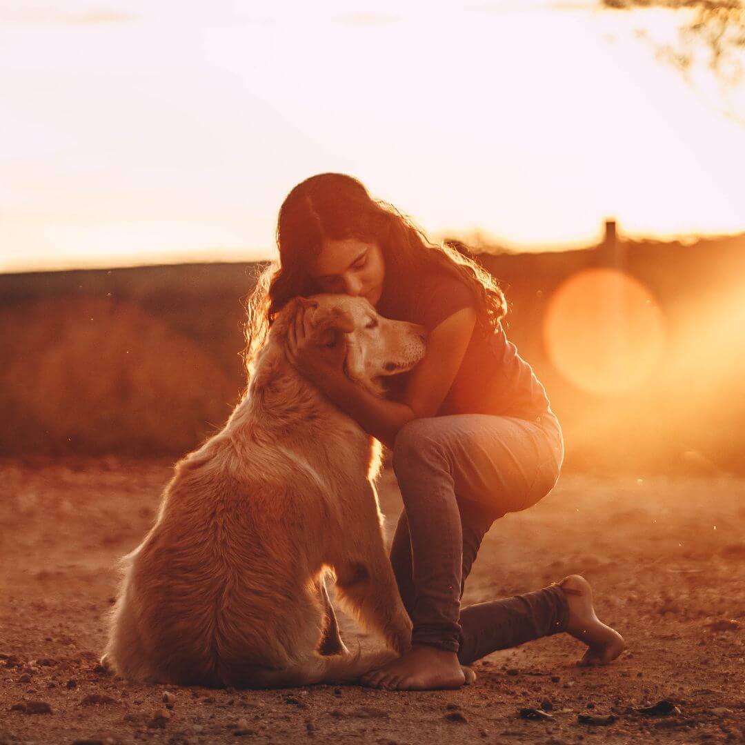 Pet Loss Grief Counseling