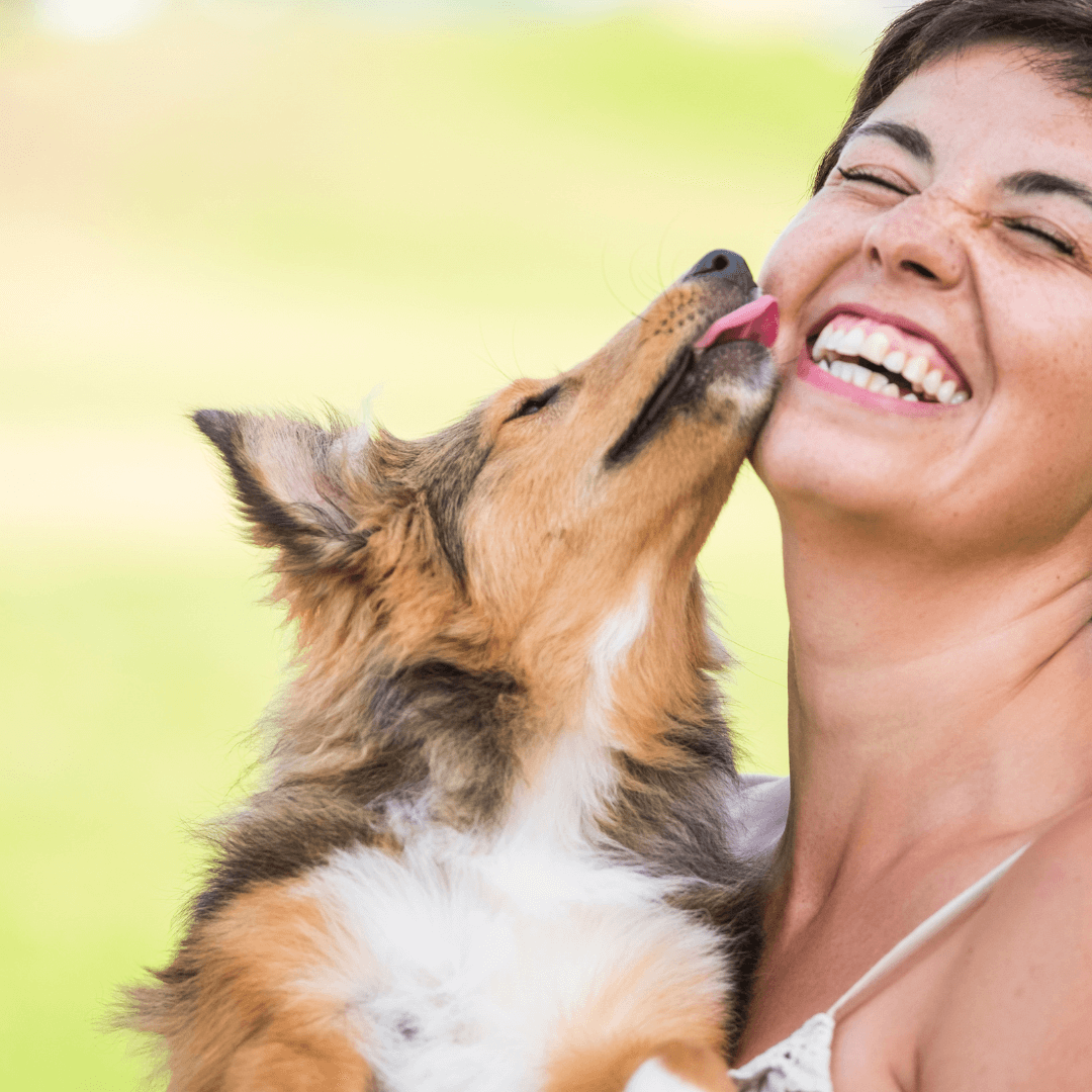 The Transformative Power of Pets: Enhancing Physical and Mental Well-being