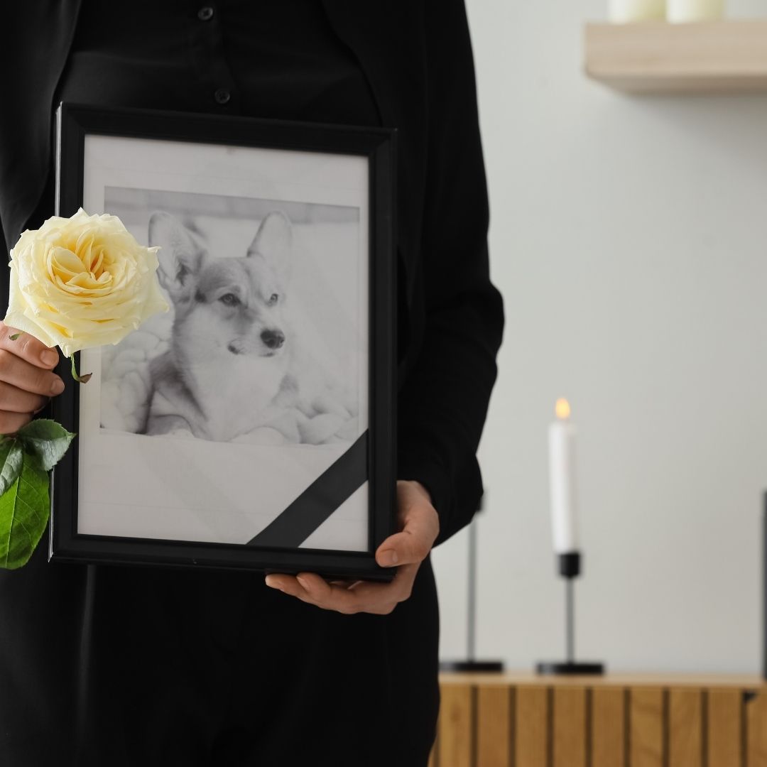 a person holding a photo of a dog as a memorial