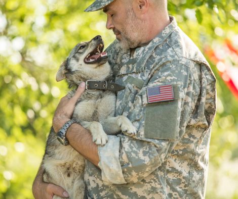 Embracing a New Leash on Life: Adopting Retired Military Veteran Service Dogs - Whisker&Fang