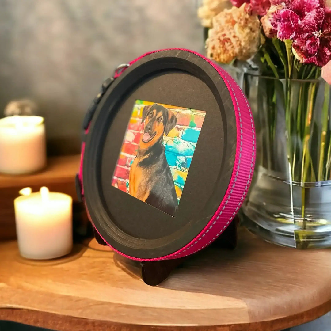 Pet memorial display with dog collar, photo, and keepsakes honoring a beloved pet’s memory