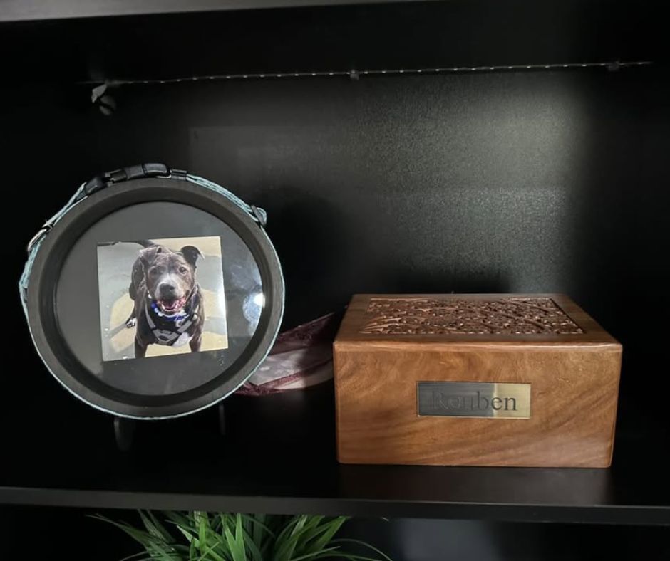what to do with your pet's collar when they pass away - beautiful display