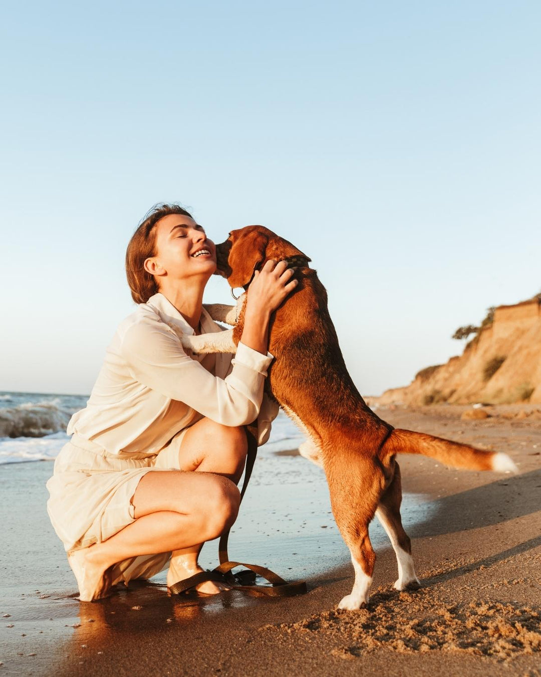 Person embracing their beloved dog during a quiet golden hour moment representing the deep bond shared with a soul dog