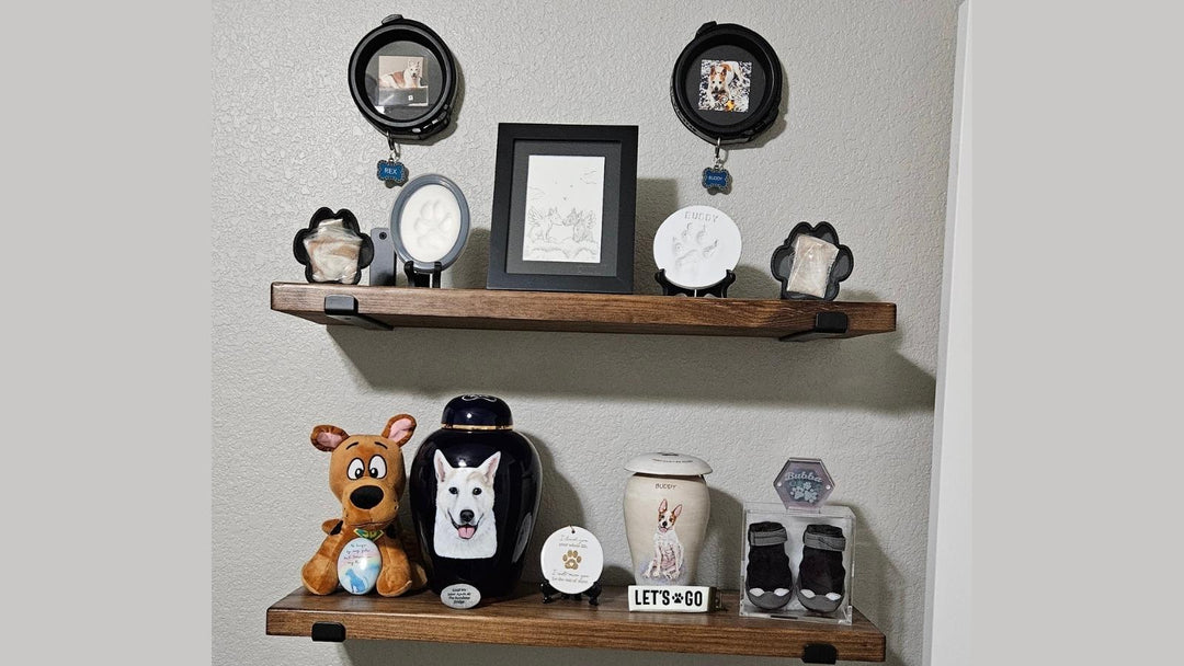 Dog collar displayed in a memorial frame on a wall, honoring a beloved pet’s memory