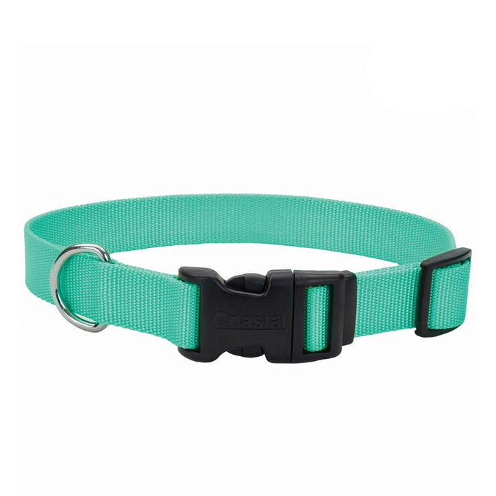 Teal Dog Collar Coastal Pet Products