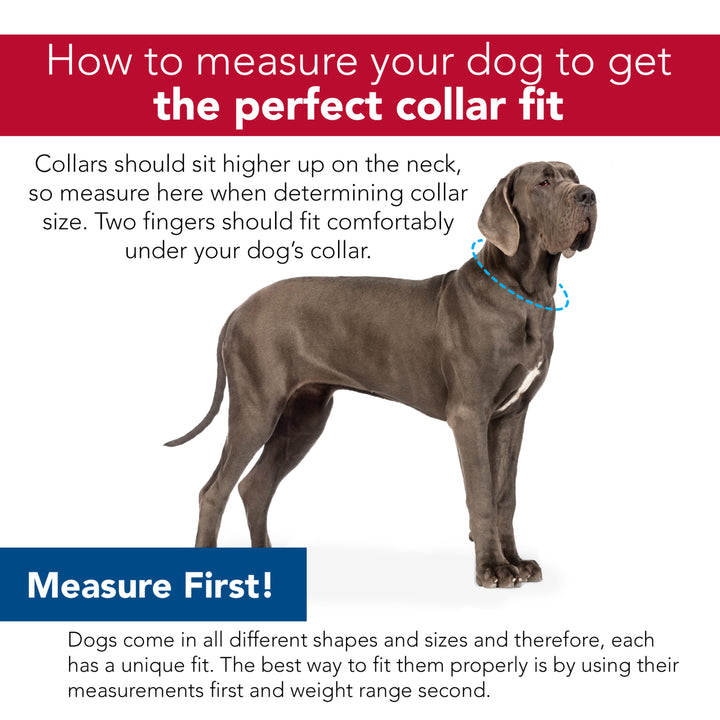 Dog Collars Coastal Pet Products Sizing Guide