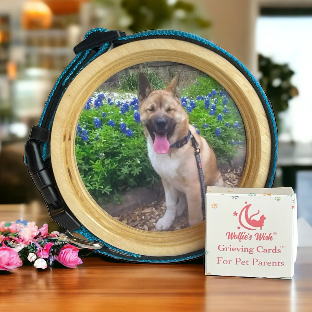 Beagle medium frame with pet collar display and grieving card set for loss of dog