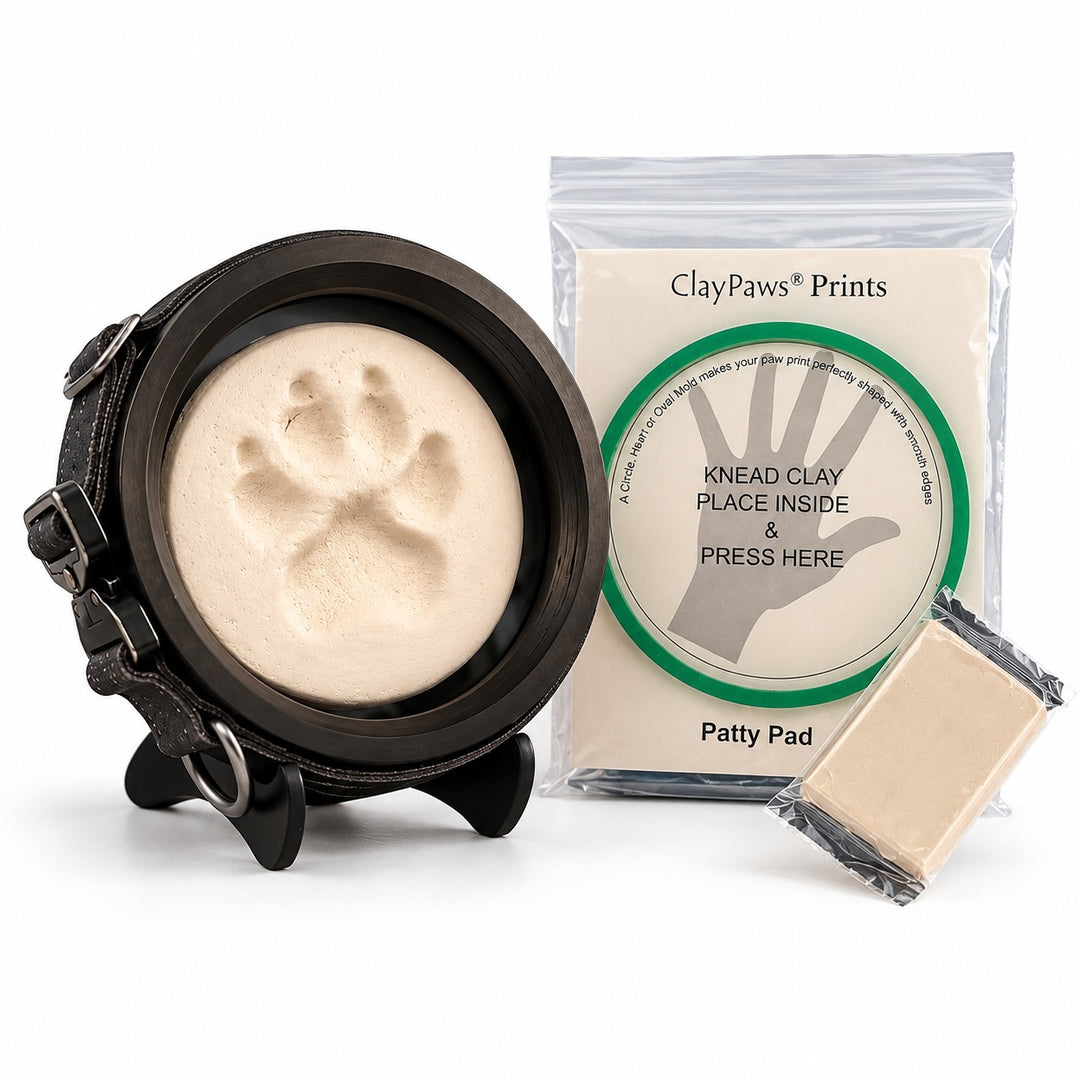dog collar and clay paw print frame and clay for print making kit