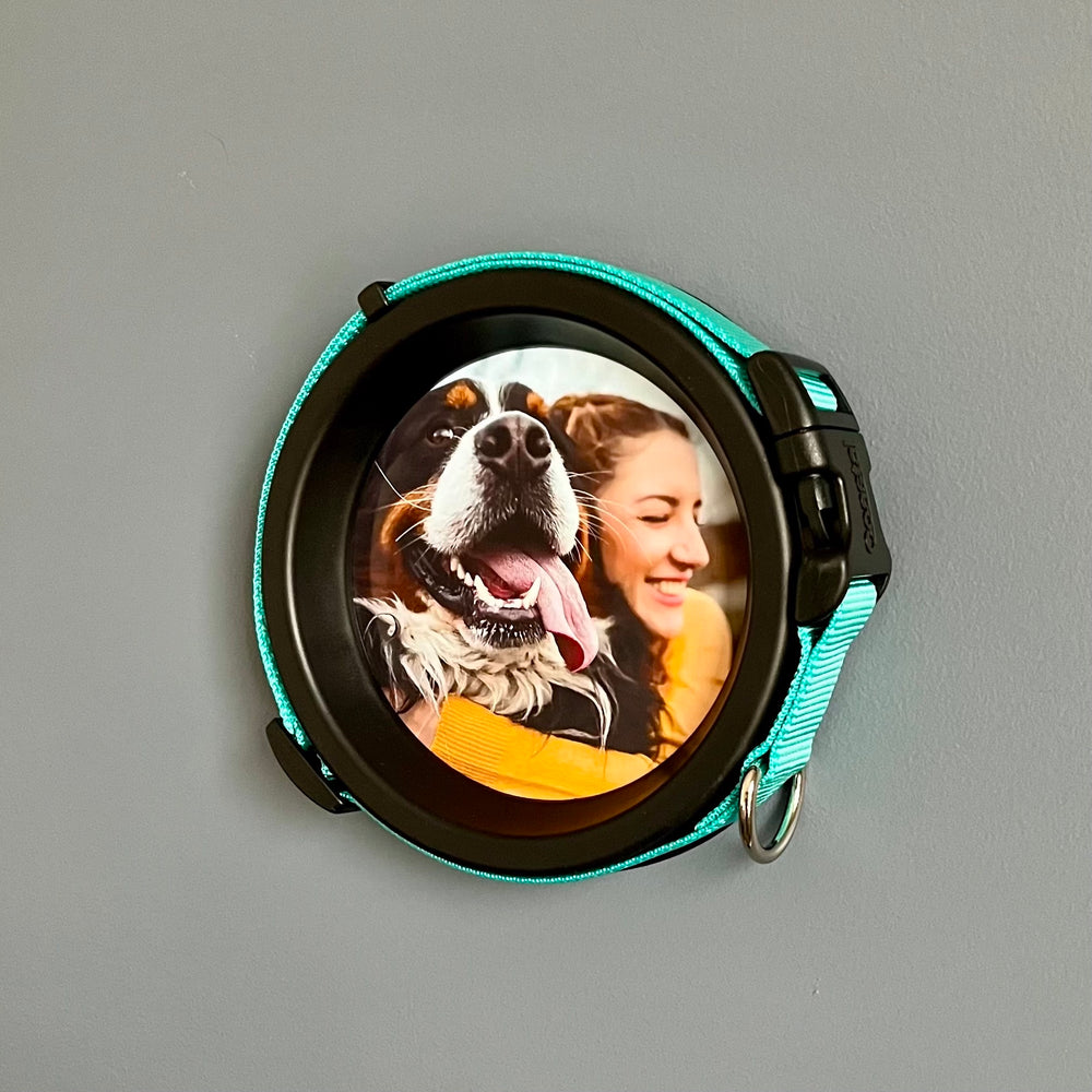 Black resin wall-hanging dog collar frame for medium-sized collars