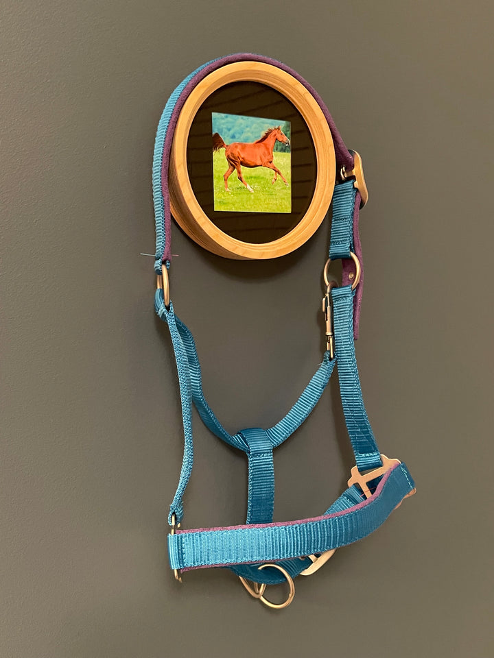 Memorial Horse Halter And photo display on wall