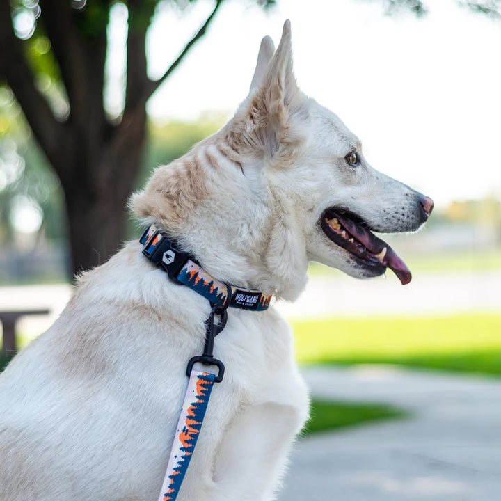 Wolfgang OverLand USA- made Adjustable Dog Collar for small, medium and large dogs. 