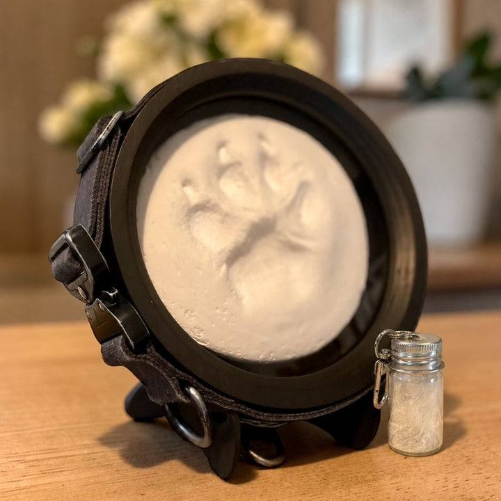 large/extra large dog black wooden paw print and collar display frame with fur keepsake capsule on a light wood table