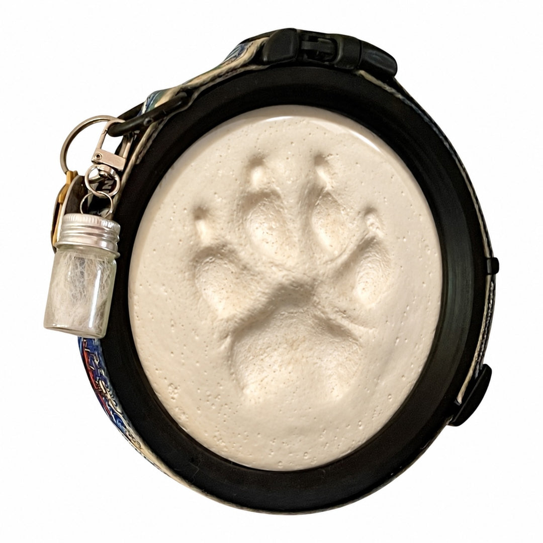 Paw Print & Collar Memorial Frame & Fur Keepsake Capsule Bundle