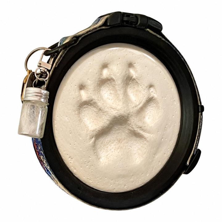 Paw Print & Collar Memorial Frame & Fur Keepsake Capsule Bundle