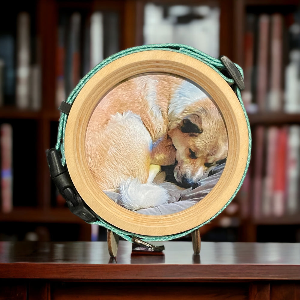 pet memorial frame, honoring your pet’s memory with photo and collar display