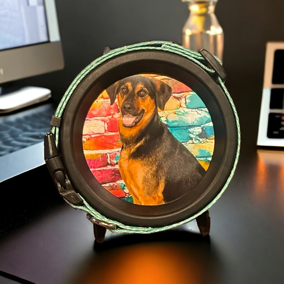 Pet loss memorial frame displayed in soft lighting, a comforting remembrance piece