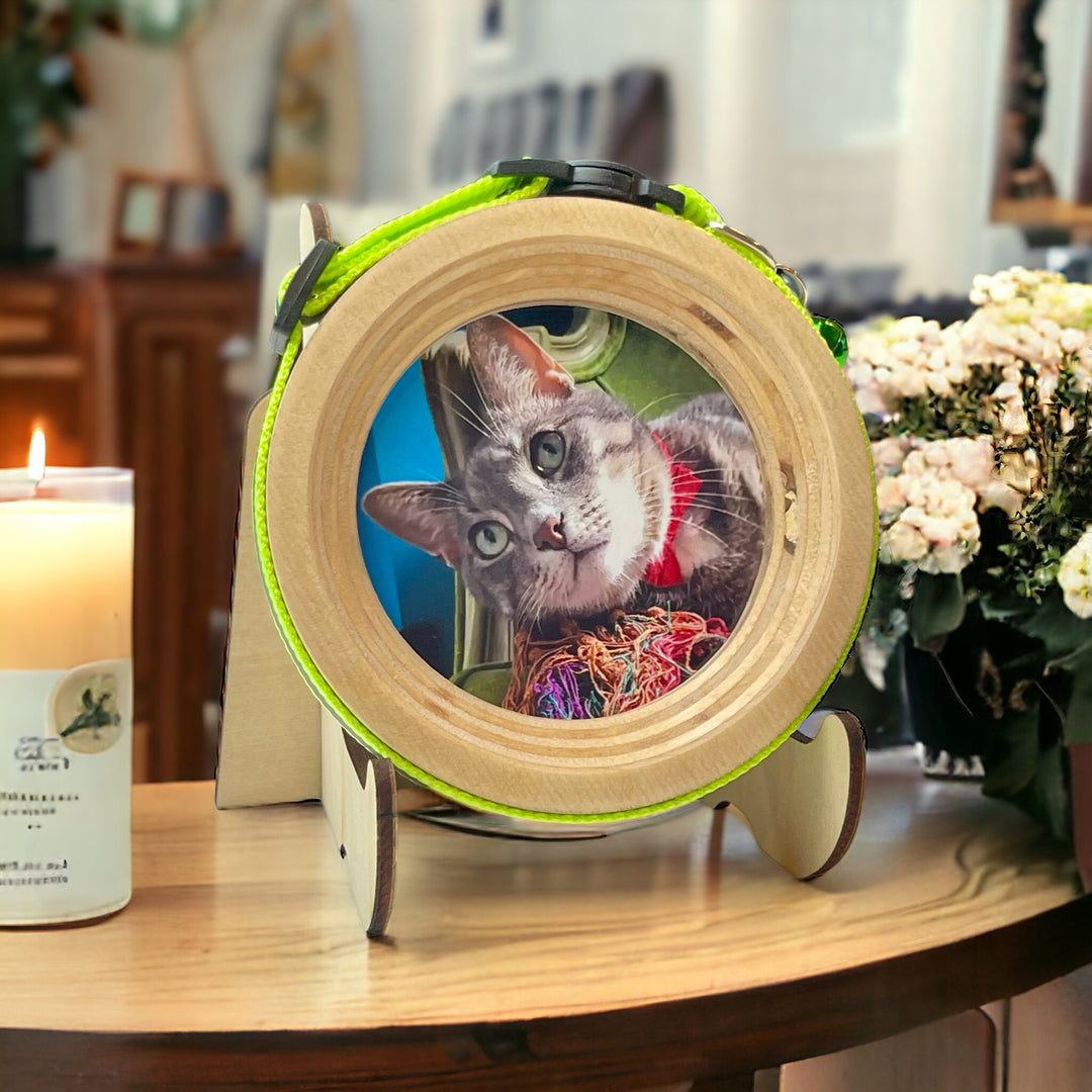 Handmade Wooden Frame for Cat Collars – A Thoughtful Pet Keepsake