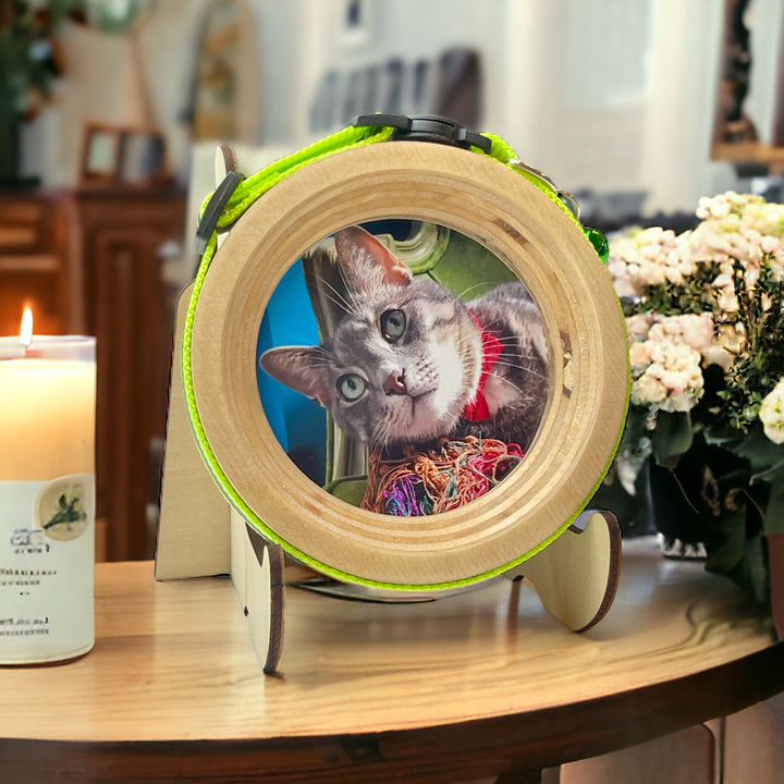 The Garfield | Halo Frame and Stand Bundle - Whisker&Fang - Cat memorial picture frame & collar display