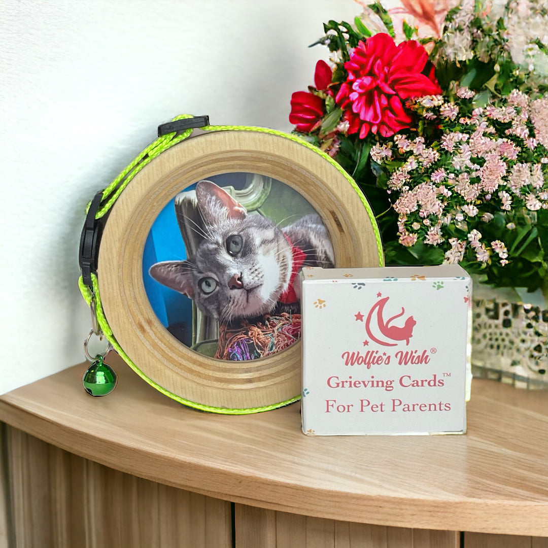 The Pet Loss Bundle - Pet Memorial Picture Frame for Cat collars and Grieving Cards. Perfect pet loss gift.