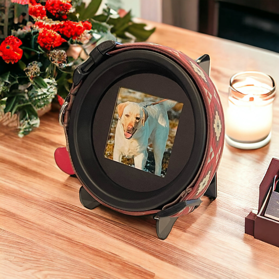 Pet Remembrance Frame for Displaying Collars & Photos