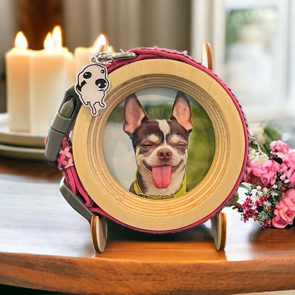 Halo Pet Frame and Collar Display in Handmade Wood - Whisker&Fang