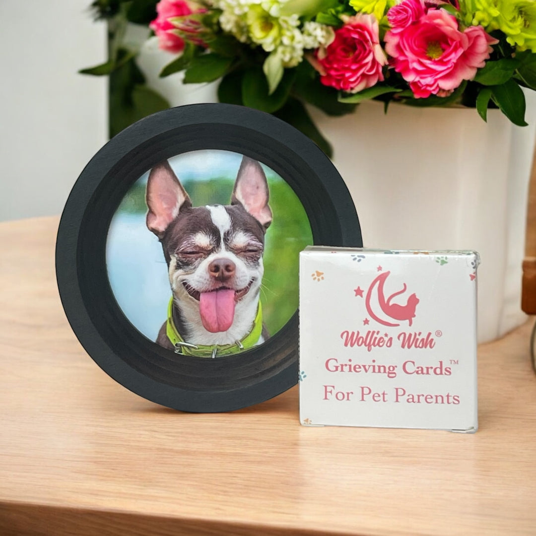 The Pet Loss Bundle - Halo Pet Picture Frame  & Collar Display and Grieving Cards. Perfect pet memorial. 