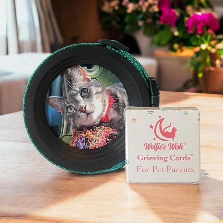 The Pet Loss Bundle - Cat Memorial Picture Frame and Collar display with Grieving Cards. Perfect cat memorial and cat loss gift.