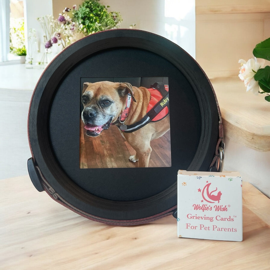 The Pet Loss Bundle - Pet Memorial Picture Frame & Collar Display for large dog collars and Grieving Cards. 