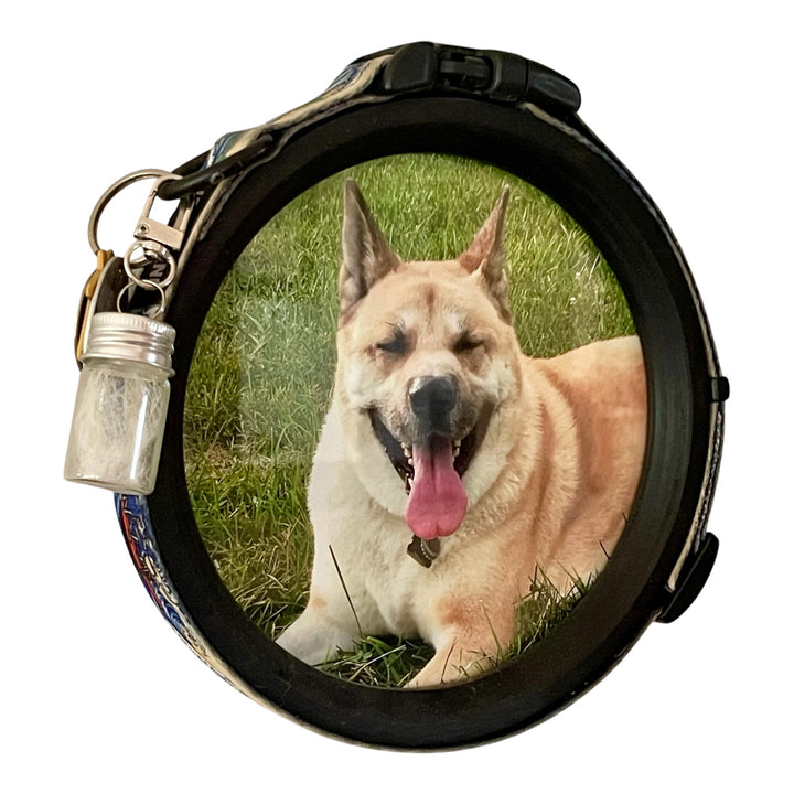 dog collar memorial picture frame with a bottle of fur as a pet loss keepsake on a wall