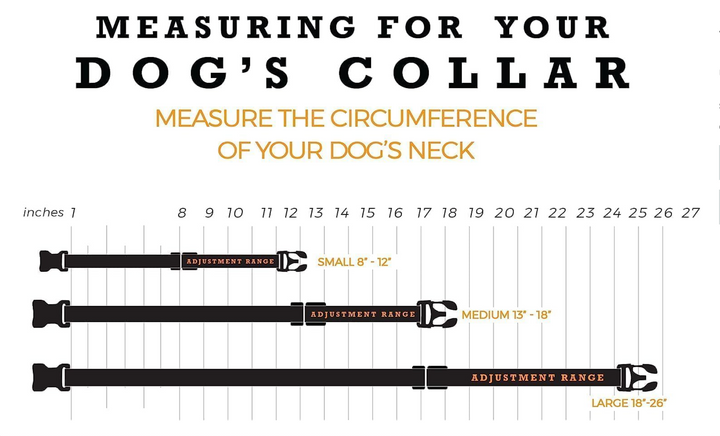 Wolfgang NightOwl Adjustable Dog Collar