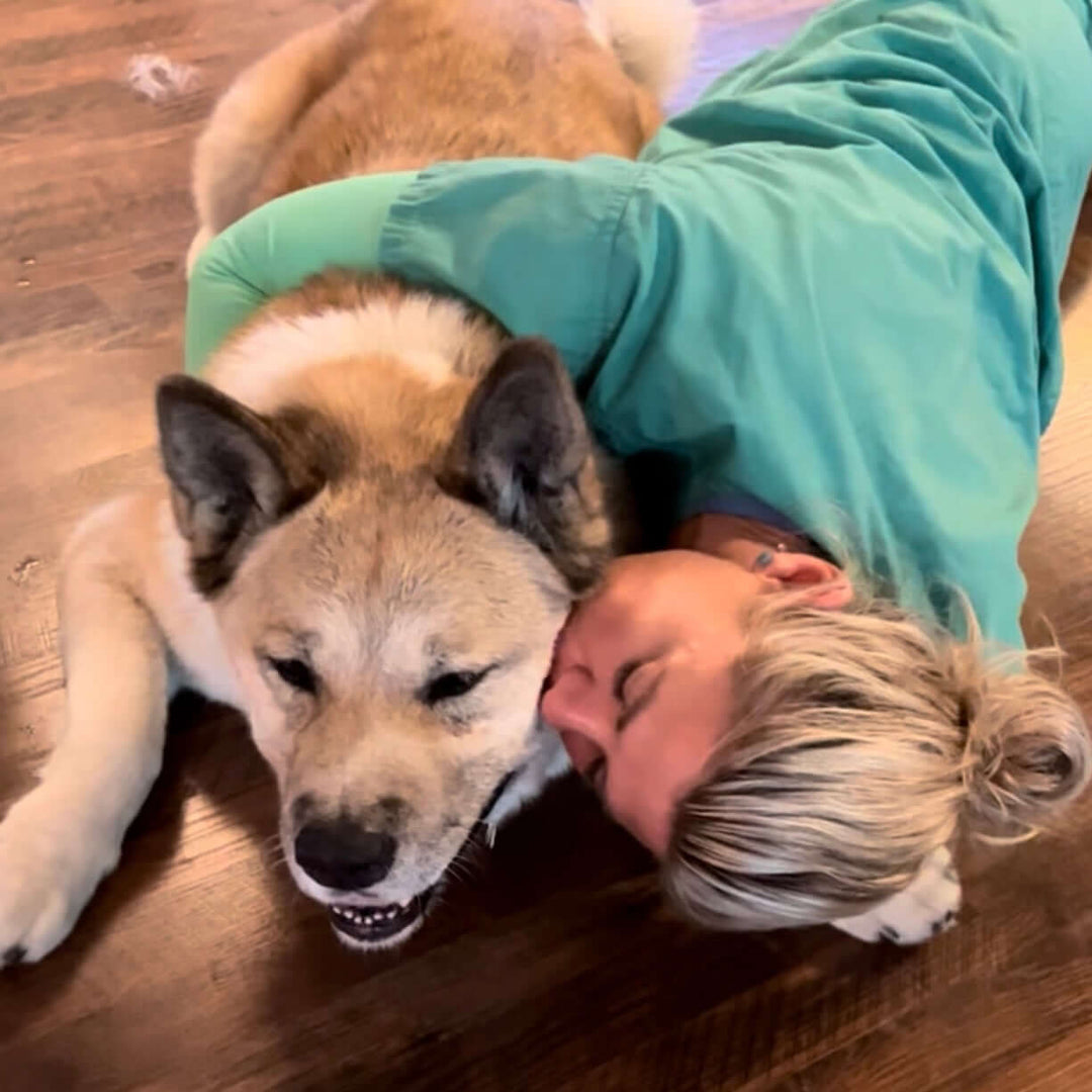 in loving memory of our soul dog