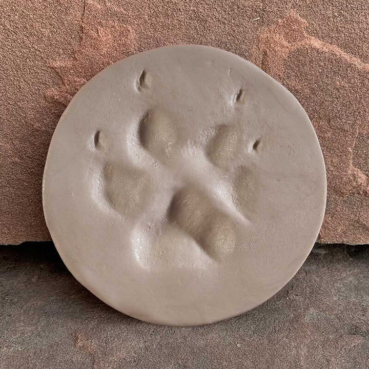 clay paw print making clay in almond shimmer material