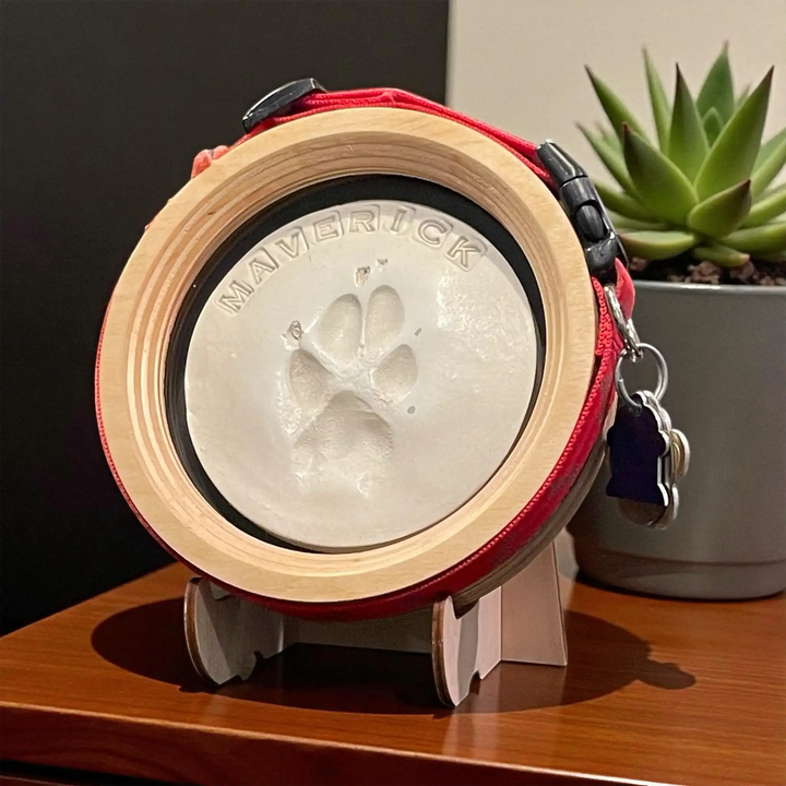 Paw Print & Collar Memorial Frame Kit
