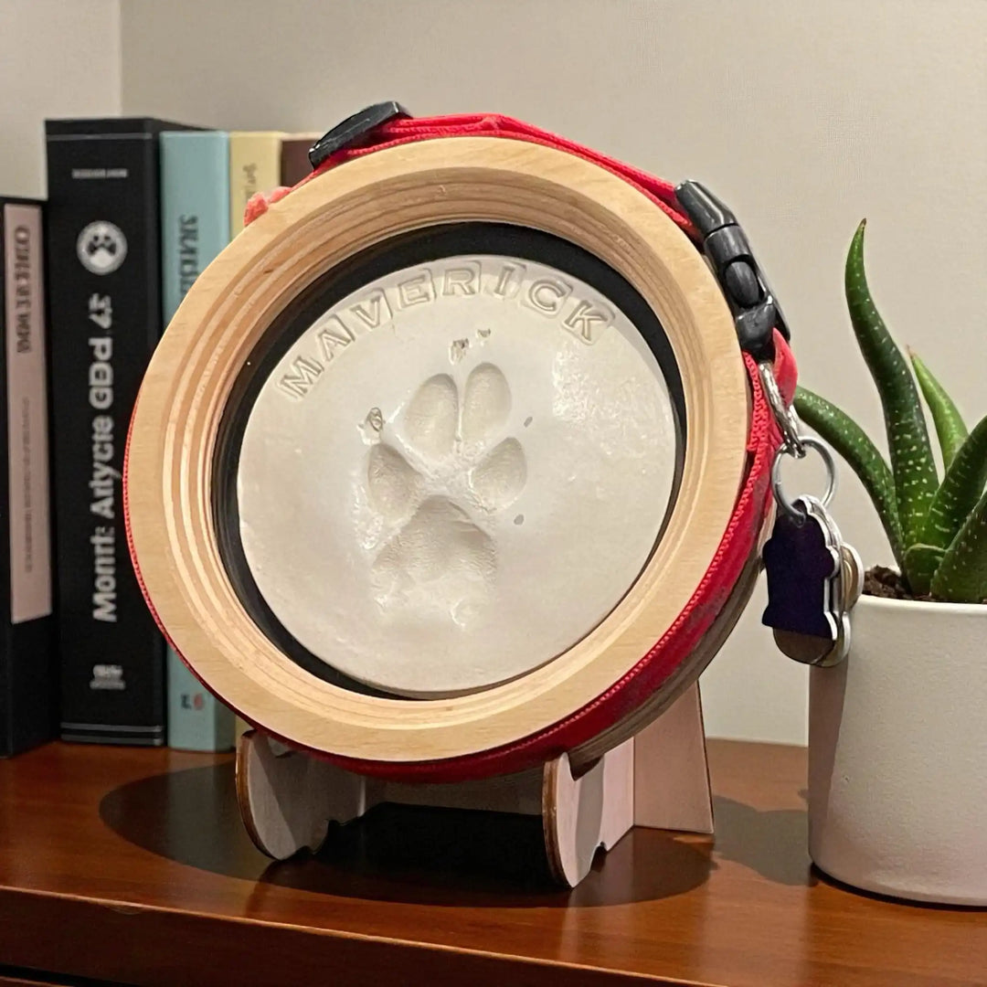 Paw Print & Collar Memorial Frame Kit