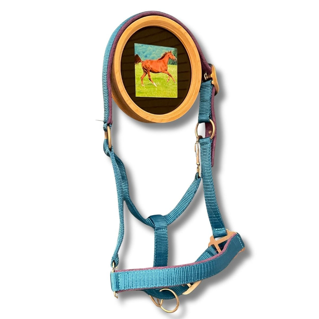 Horse halter and photo memorial display 