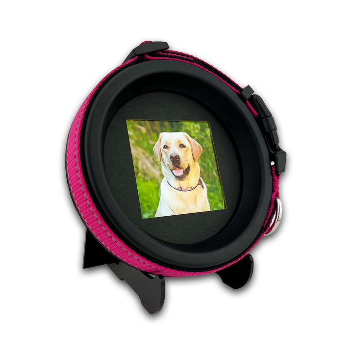 Pet memorial picture frame for displaying a cherished pet’s collar and photo, a thoughtful pet loss gift.