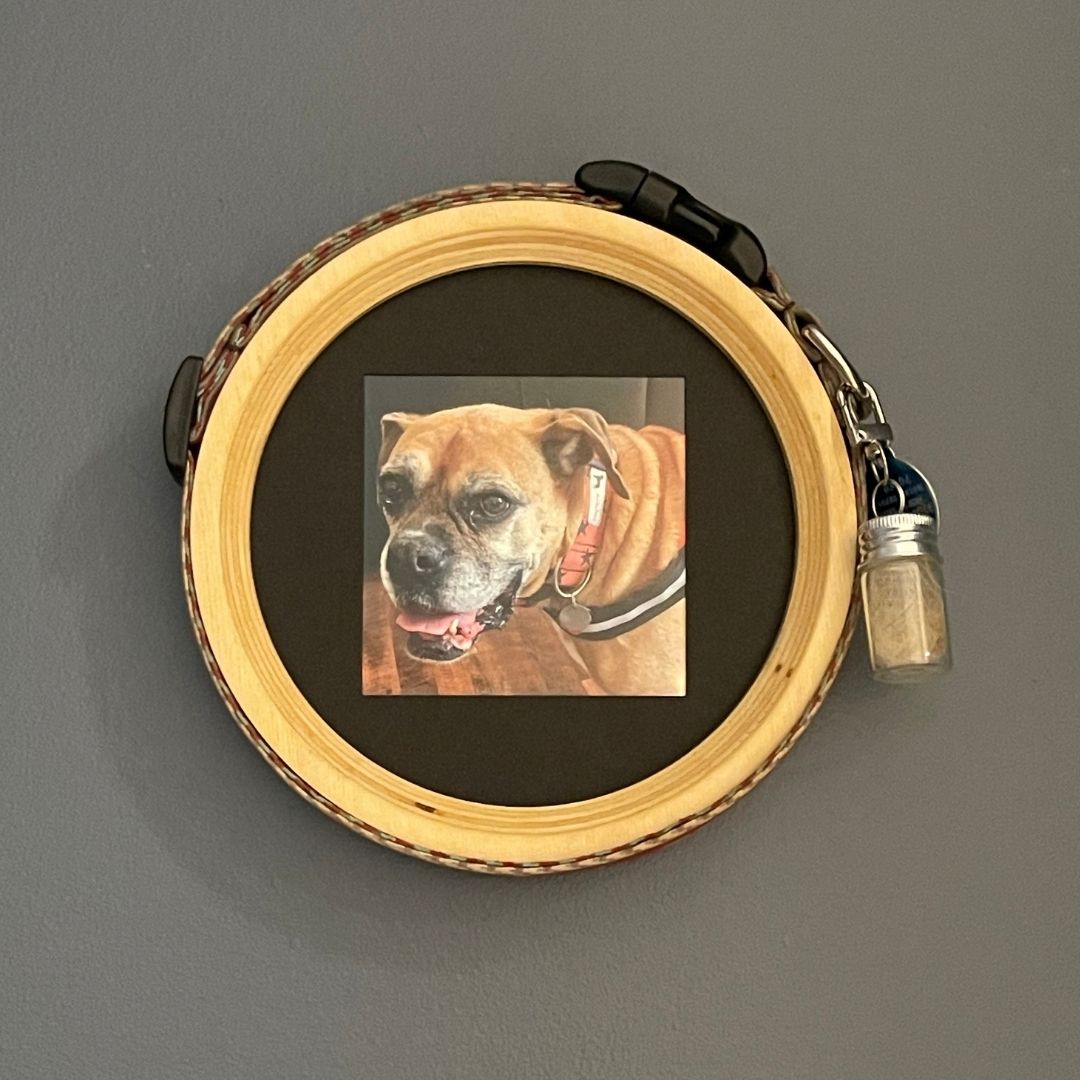 large/extra large wooden dog collar picture frame with fur keepsake capsule on a dark wall