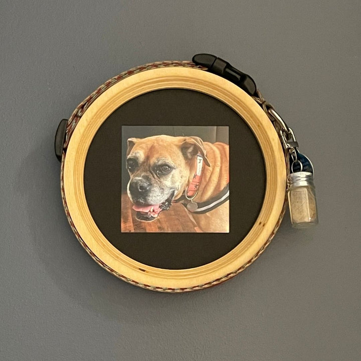 large/extra large wooden dog collar picture frame with fur keepsake capsule on a dark wall