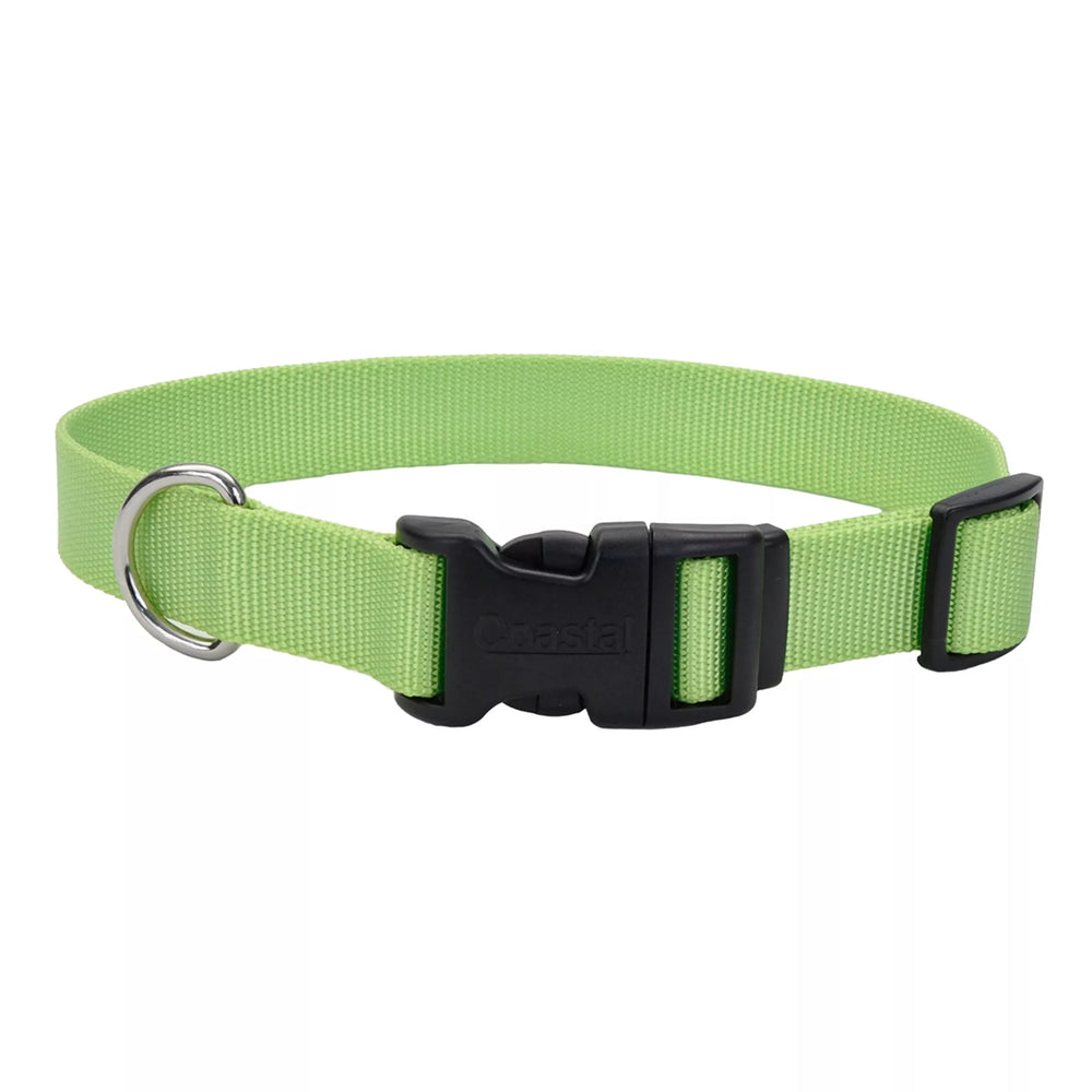 Lime Green Dog Collar Coastal Pet Products