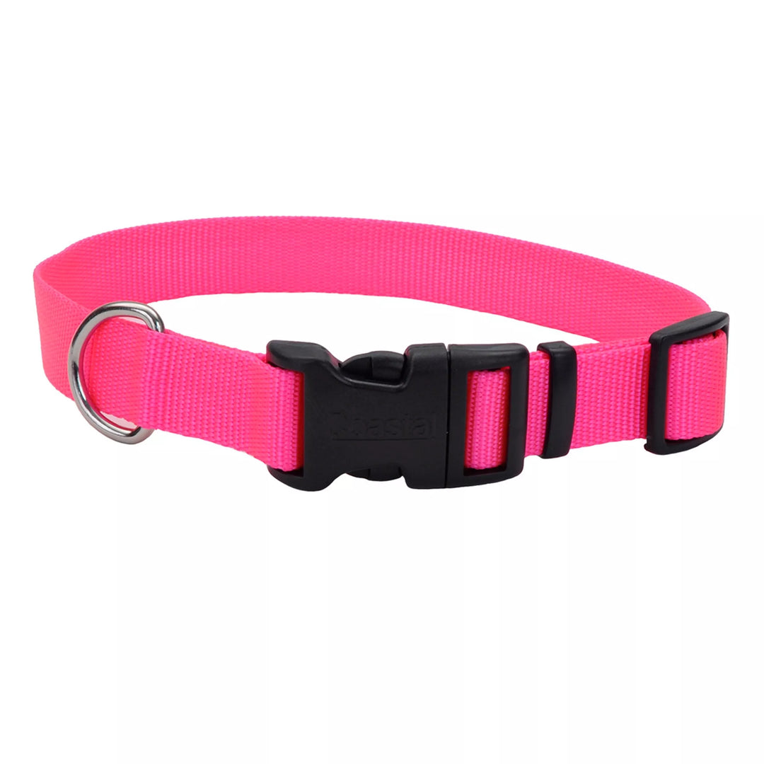 Neon Pink Dog Collar Coastal Pet Products