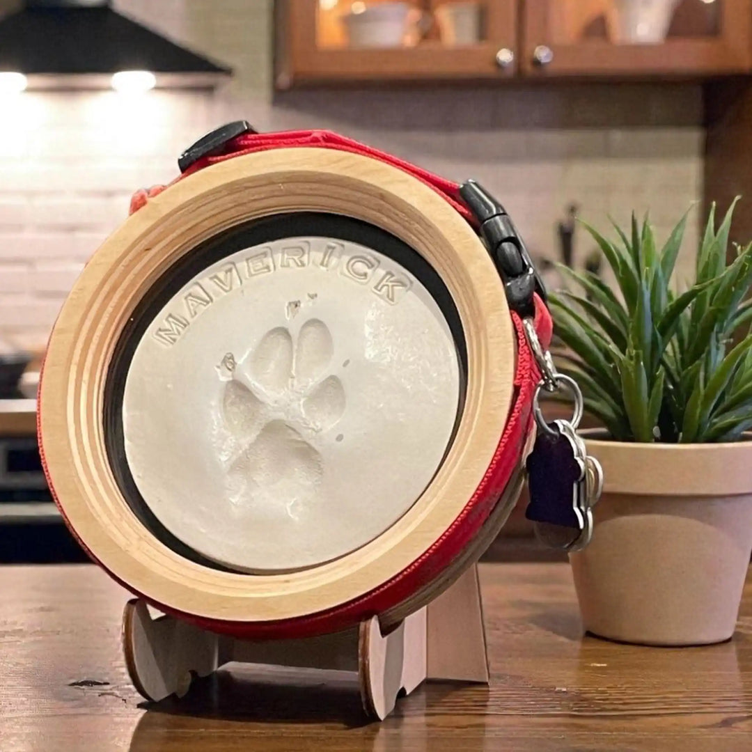 Pet paw print and collar frame on a stand in a kitchen setting