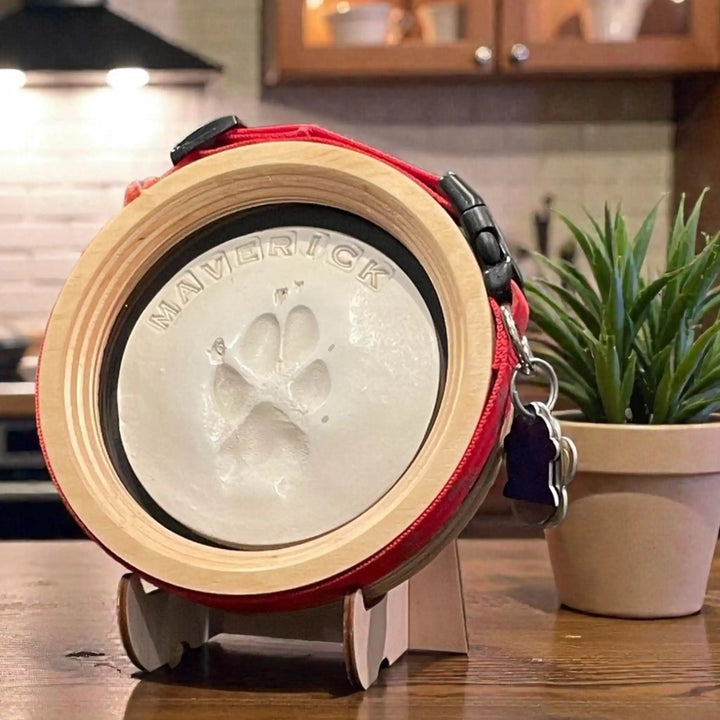 Pet paw print and collar frame on a stand in a kitchen setting