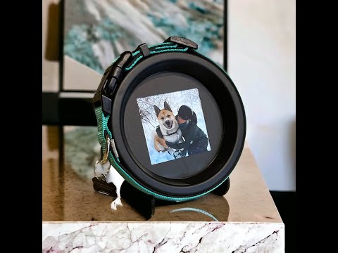 Halo Pet Memorial Picture Frame & Collar Display Video - Whisker&Fang - Pet Loss Support