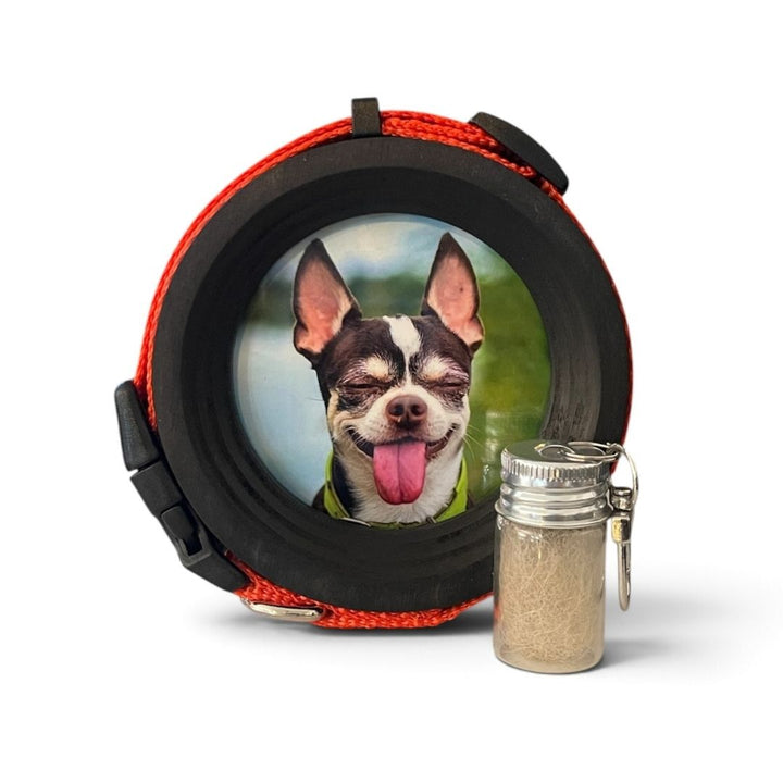 small dog collar display frame in black wood with fur keepsake capsule.