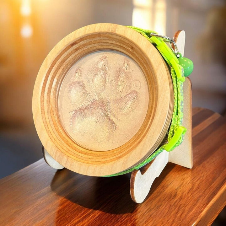 small dog collar and clay paw print display frame on a wooden countertop