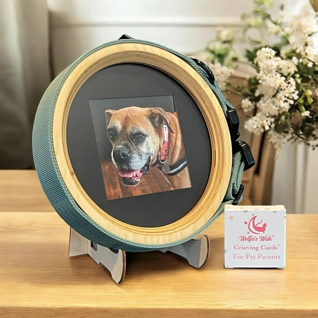 Dog Collar Picture Frame for extra large dogs with pet loss cards bundle