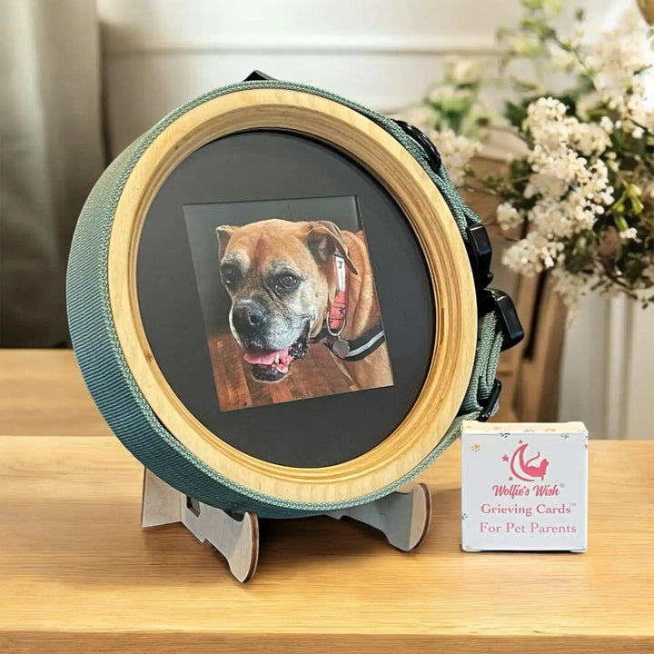 Dog Collar Picture Frame for extra large dogs with pet loss cards bundle