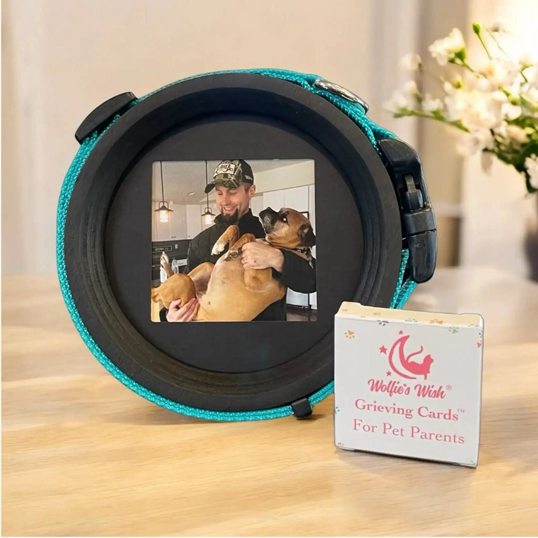 Halo Pet Frame & Collar Display- Pet Loss Bundle