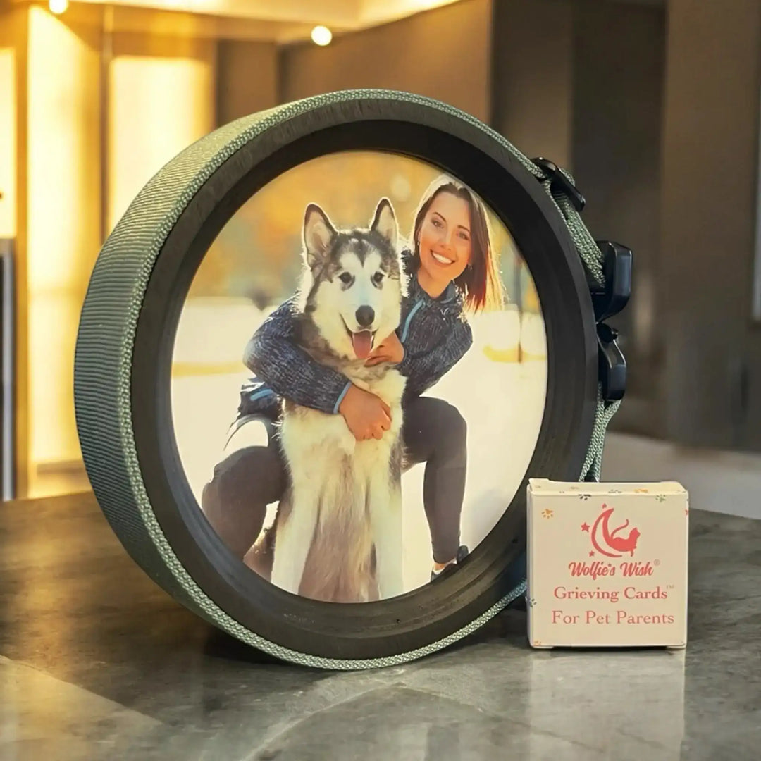 Extra Large Pet Collar & Photo Display for Wide Collars.